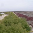 red beach china