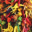 Autumn food festivals in Italy 2026