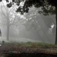 nebbia in Italia