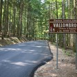 Vallombrosa