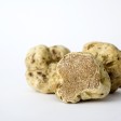dove trovare il tartufo bianco