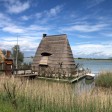 Veneto selvaggio: laguna di Caorle tra canneti e casoni