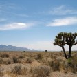 Tre cerchi, zero spigoli: la casa nel deserto che incornicia il cielo