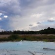caldara