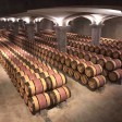 Gubbio tartufi e vendemmia