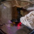 Lavatrice con bucato e acqua nel cestello