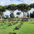 Uno scorcio di Roma con i suoi alberi 