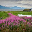 Vesterålen