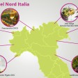 vini nord italia