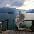Il castello ‘infestato’ sul Lago di Como perfetto in autunno