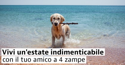 spiagge dog friendly