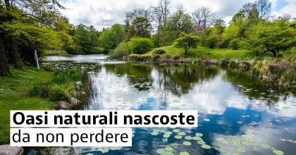 Oasi naturali