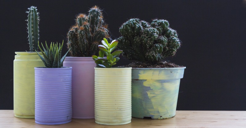 Blocchi Da Costruzione Fiore In Vaso Compatibili Lego Per Adulti E Bambini