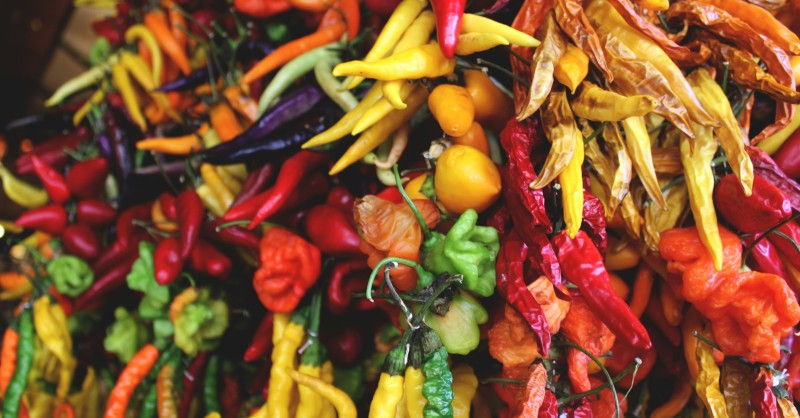 Autumn food festivals in Italy 2026: truffles, chestnuts, wine and